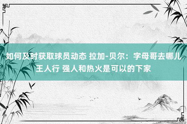 如何及时获取球员动态 拉加-贝尔：字母哥去哪儿王人行 强人和热火是可以的下家