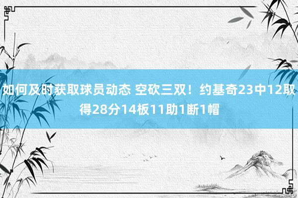 如何及时获取球员动态 空砍三双！约基奇23中12取得28分14板11助1断1帽