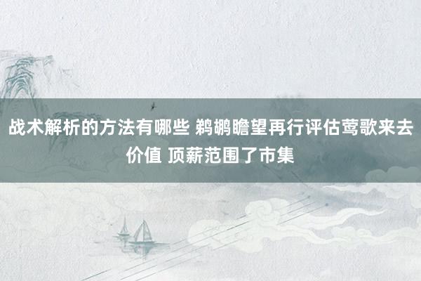 战术解析的方法有哪些 鹈鹕瞻望再行评估莺歌来去价值 顶薪范围了市集