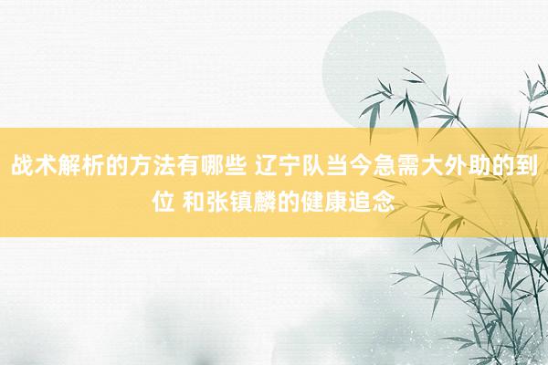 战术解析的方法有哪些 辽宁队当今急需大外助的到位 和张镇麟的健康追念