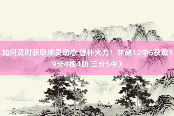 如何及时获取球员动态 替补火力！林葳12中6获取19分4板4助 三分5中3