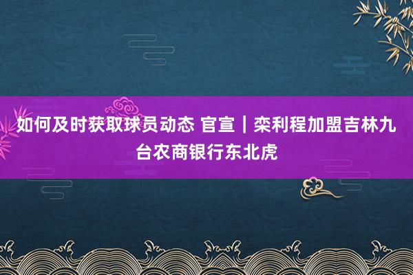 如何及时获取球员动态 官宣｜栾利程加盟吉林九台农商银行东北虎