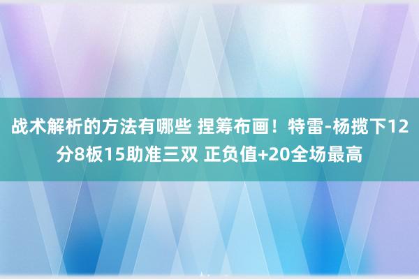 战术解析的方法有哪些 捏筹布画！特雷-杨揽下12分8板15助准三双 正负值+20全场最高