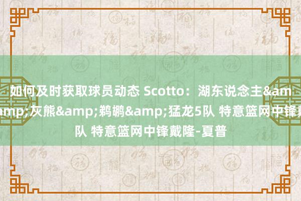 如何及时获取球员动态 Scotto：湖东说念主&快船&灰熊&鹈鹕&猛龙5队 特意篮网中锋戴隆-夏普