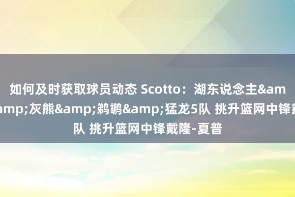 如何及时获取球员动态 Scotto：湖东说念主&快船&灰熊&鹈鹕&猛龙5队 挑升篮网中锋戴隆-夏普