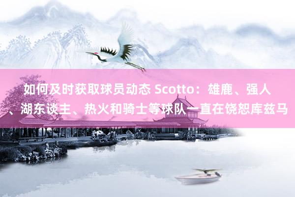 如何及时获取球员动态 Scotto：雄鹿、强人、湖东谈主、热火和骑士等球队一直在饶恕库兹马