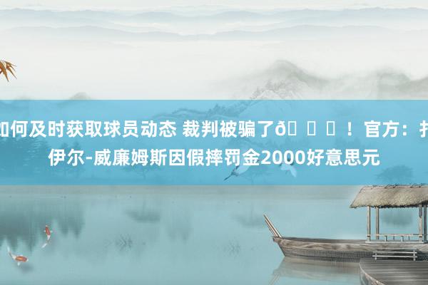 如何及时获取球员动态 裁判被骗了😅！官方：扎伊尔-威廉姆斯因假摔罚金2000好意思元