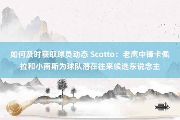 如何及时获取球员动态 Scotto：老鹰中锋卡佩拉和小南斯为球队潜在往来候选东说念主