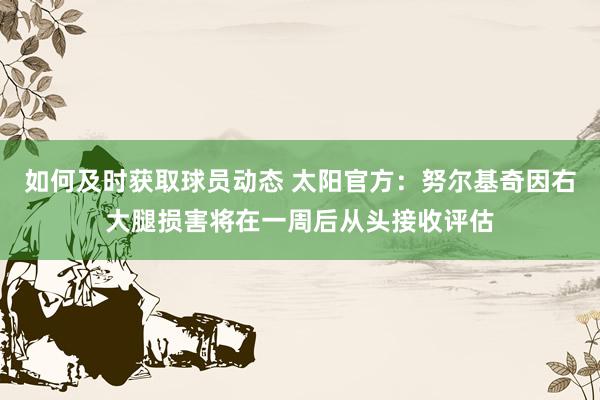 如何及时获取球员动态 太阳官方：努尔基奇因右大腿损害将在一周后从头接收评估